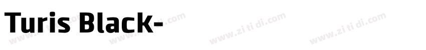 Turis Black字体转换